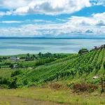 Apartment Side Luxury Steps To The Lela - Happy Balatonlelle